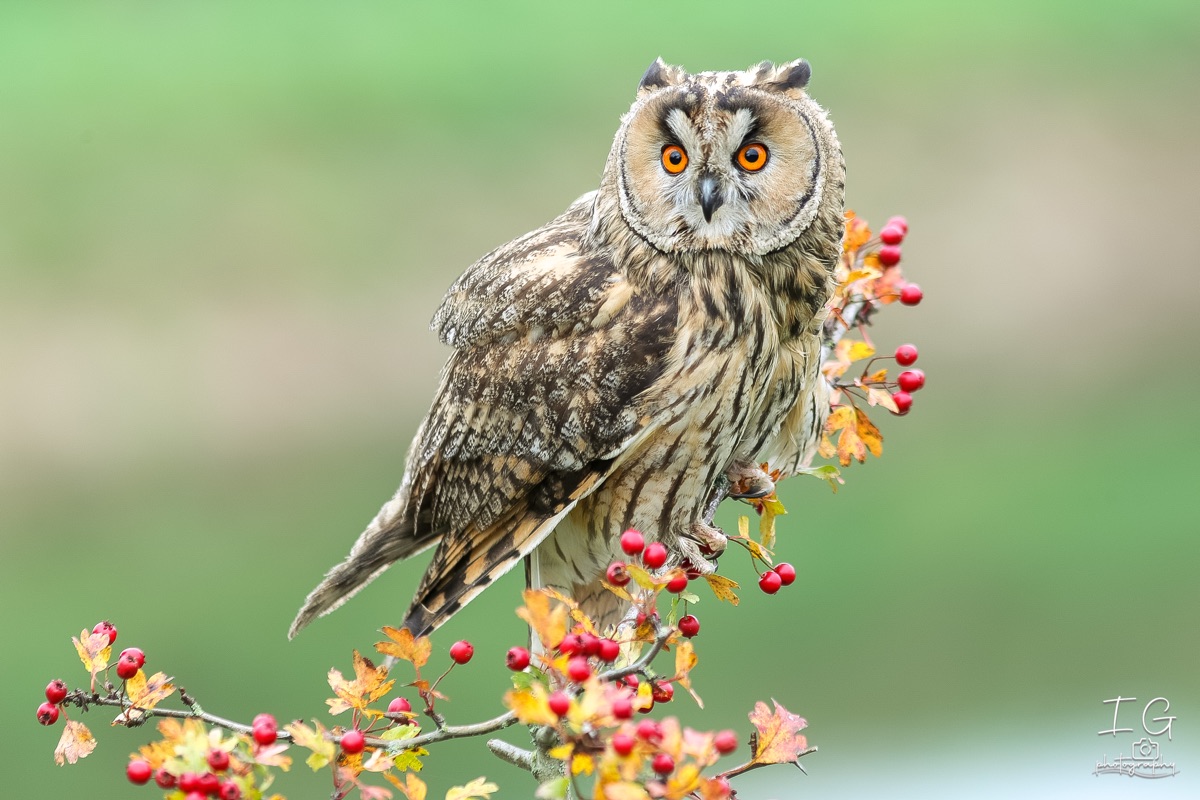 20211023 AK6I0008 insta